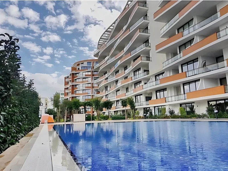 Zeytinlik